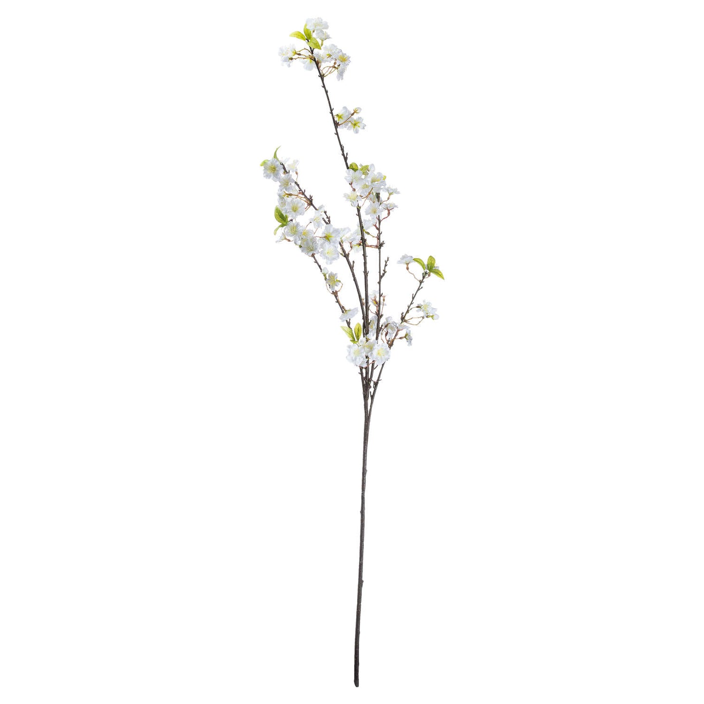 Artificial cherry blossom branch with white flowers on a white background