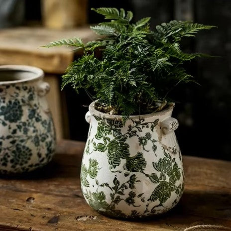 Potted plant in a decorative ceramic pot on a wooden surface