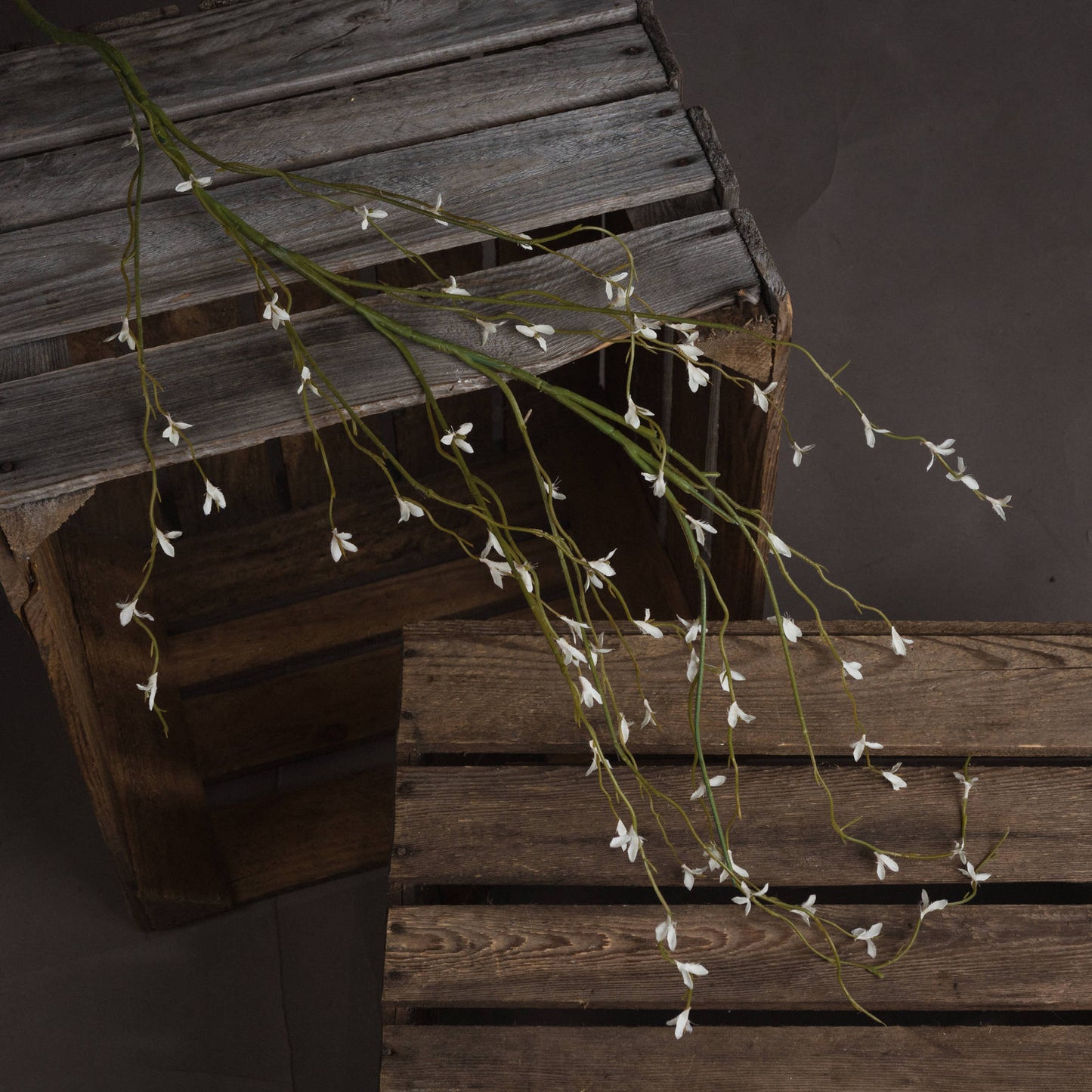 Decorative string of white flowers on a wooden surface with a dark background