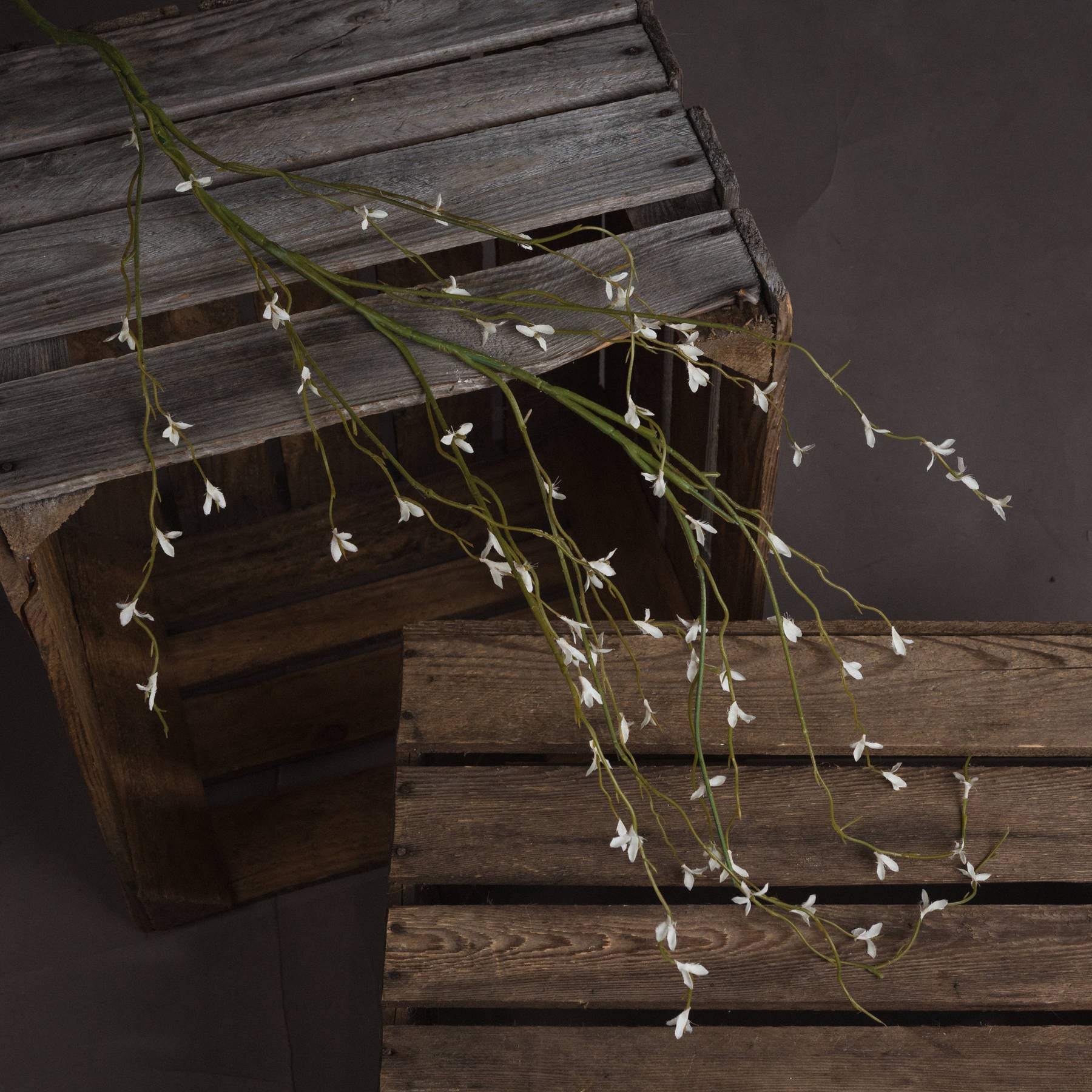 Decorative string of white flowers on a wooden surface with a dark background