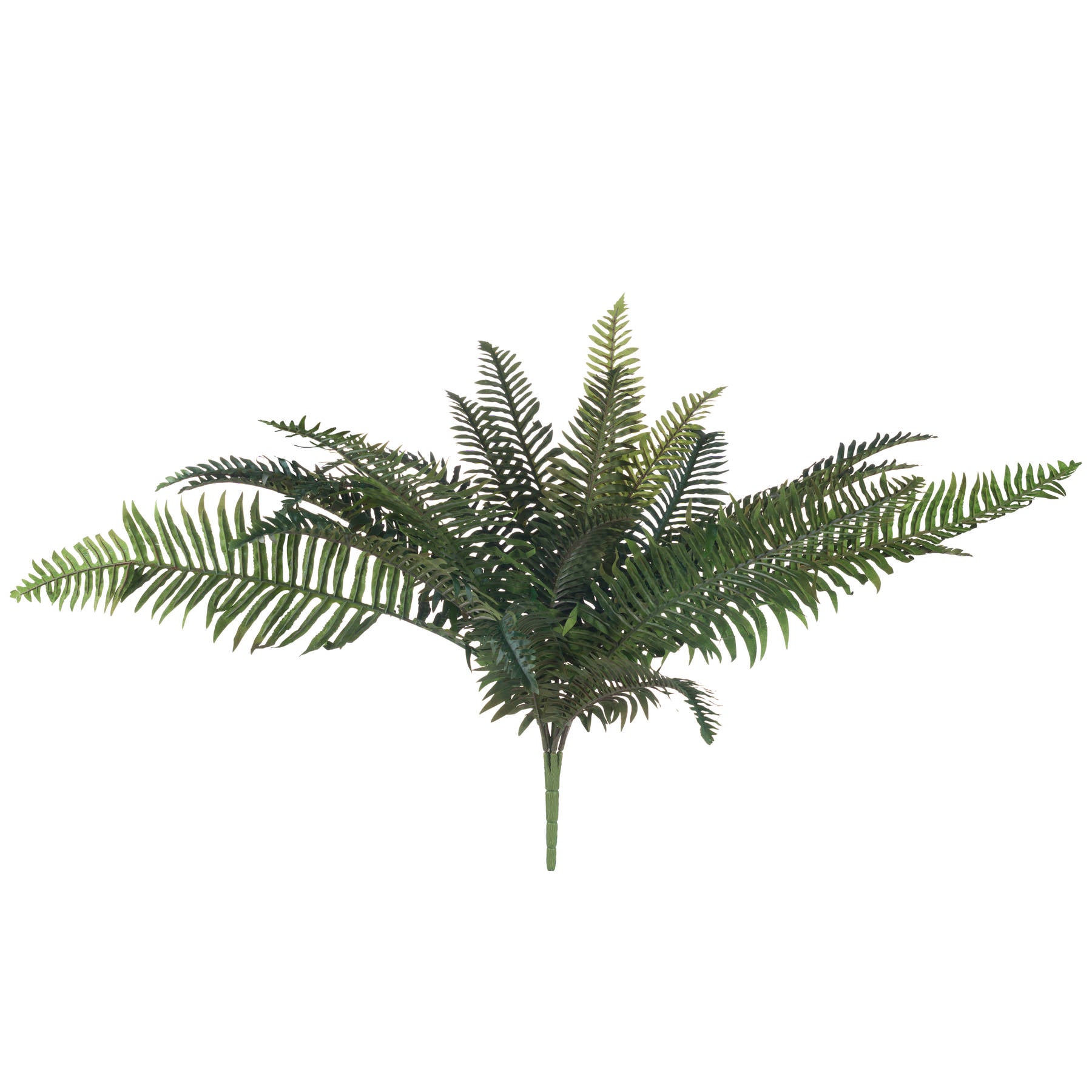 Artificial fern plant on a white background