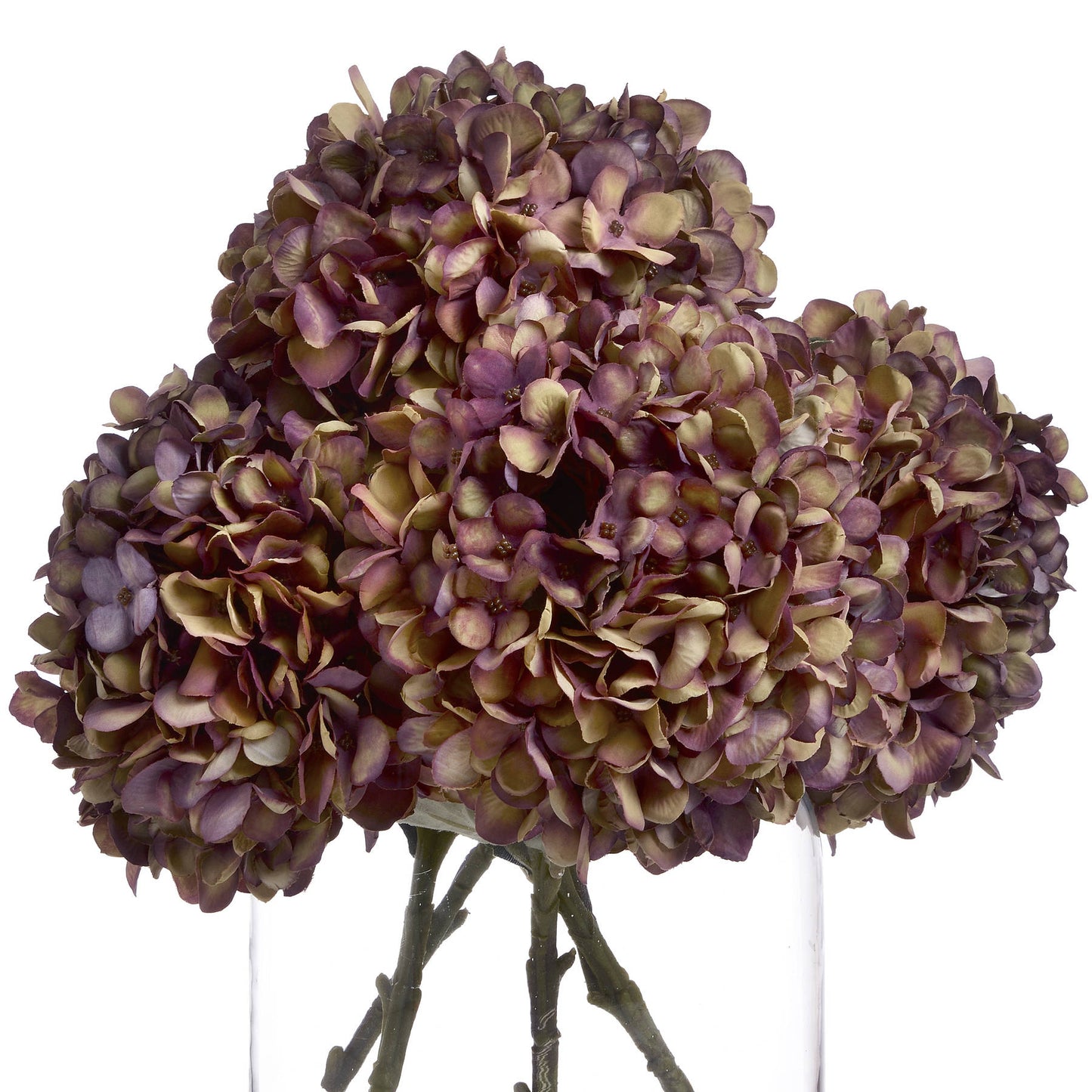 Bouquet of purple and brown hydrangeas in a clear vase on a white background