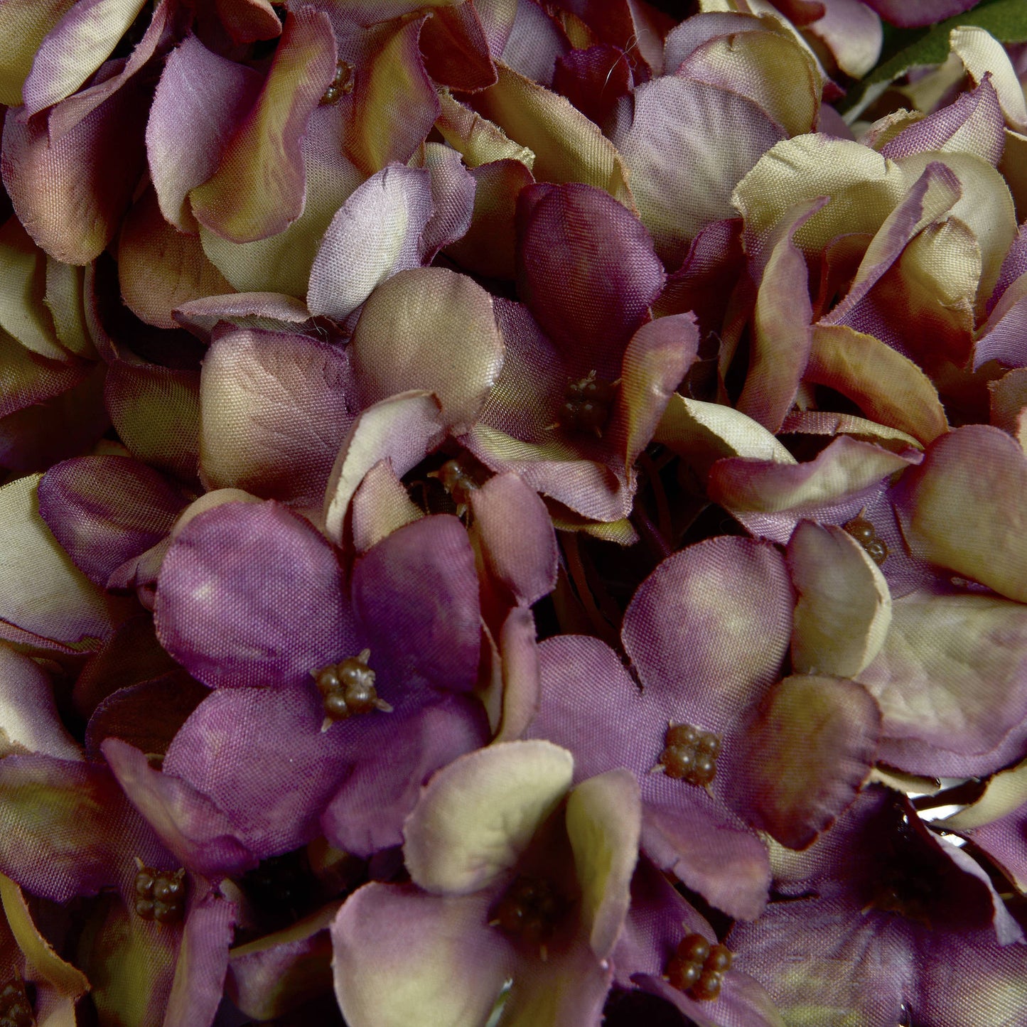 Close-up of a bouquet of purple and pink flowers with a soft focus.