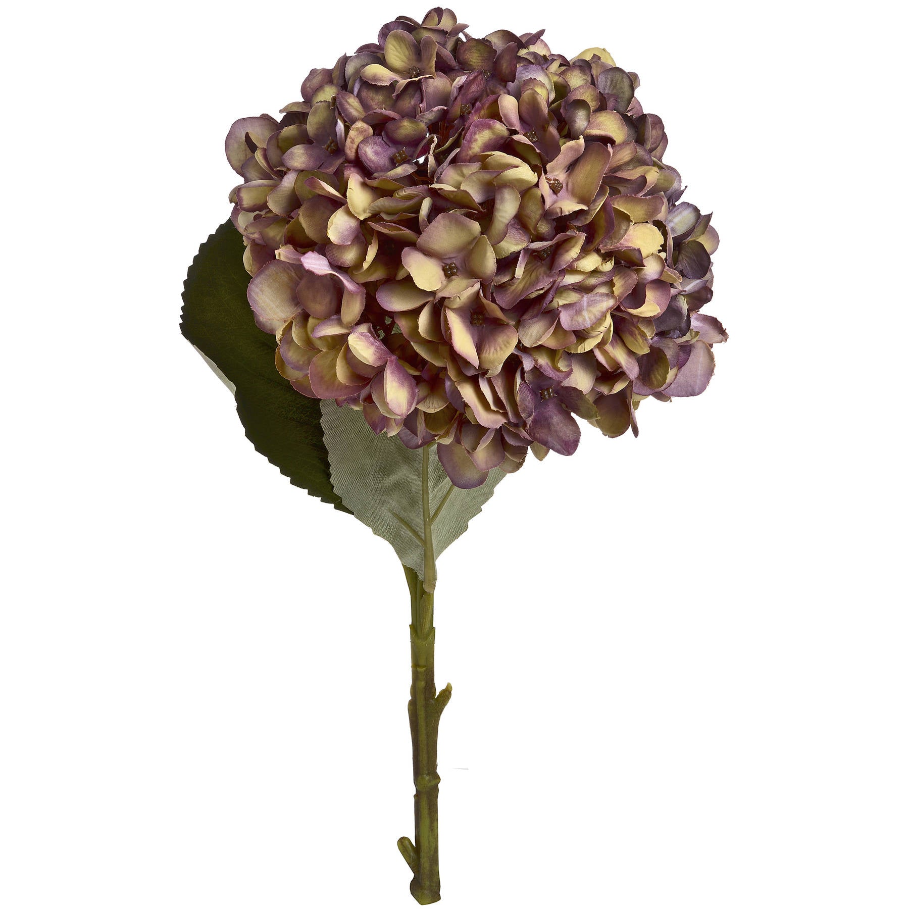 Artificial hydrangea flower with purple and green hues on a white background