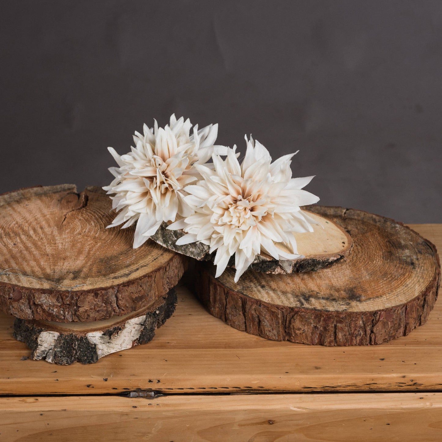 Two white flowers on wooden slices against a dark background
