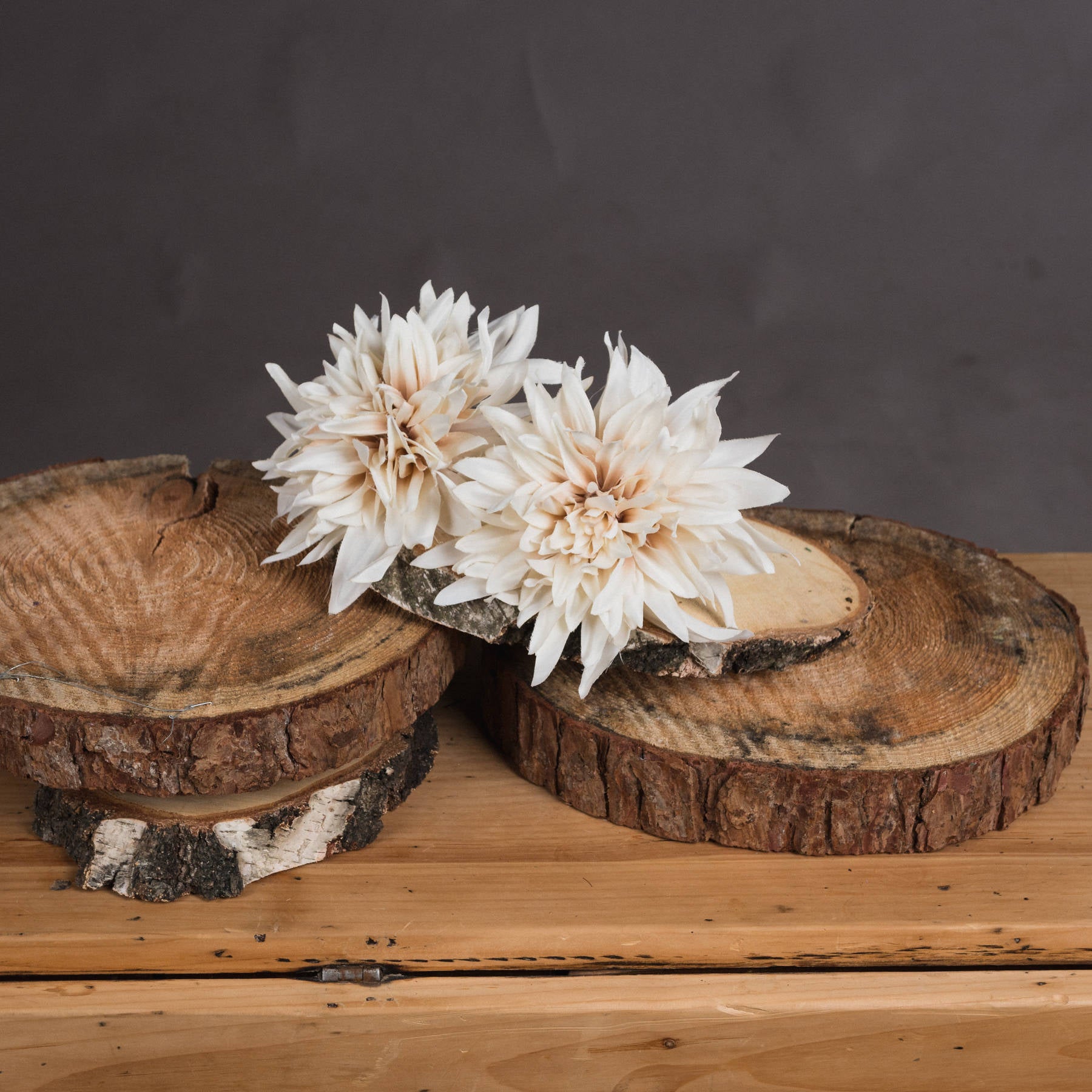 Two white flowers on wooden slices against a dark background