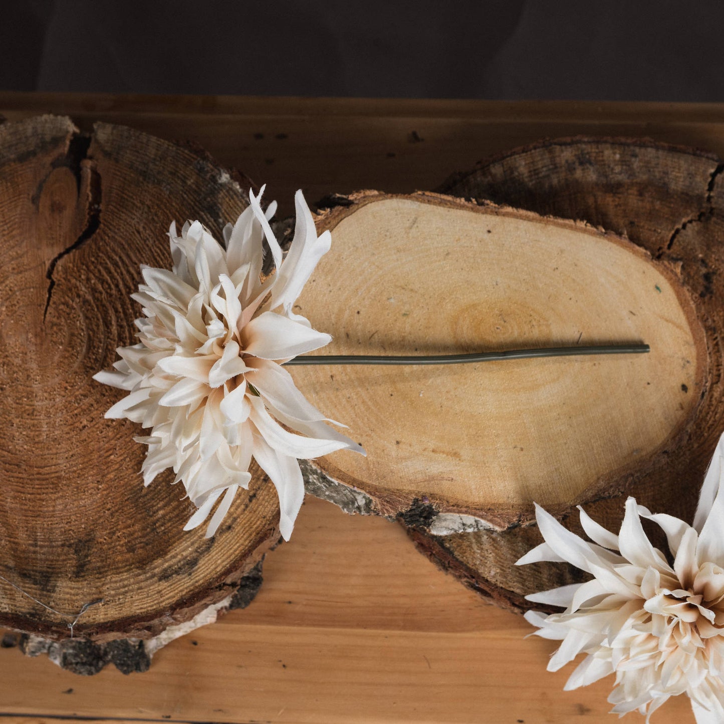White flower on a wooden surface with a dark background