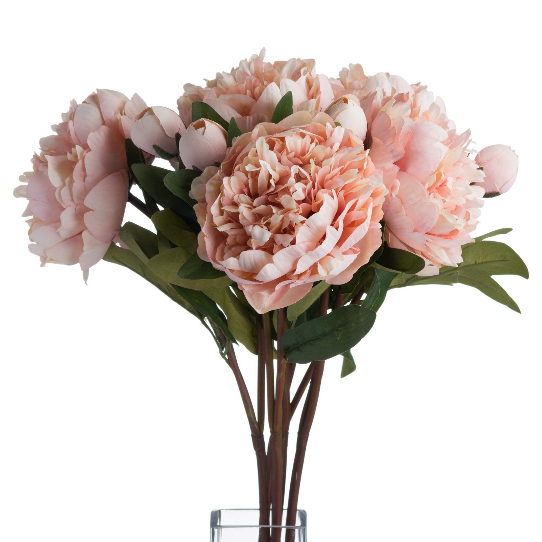Bouquet of pink peonies in a clear vase on a white background