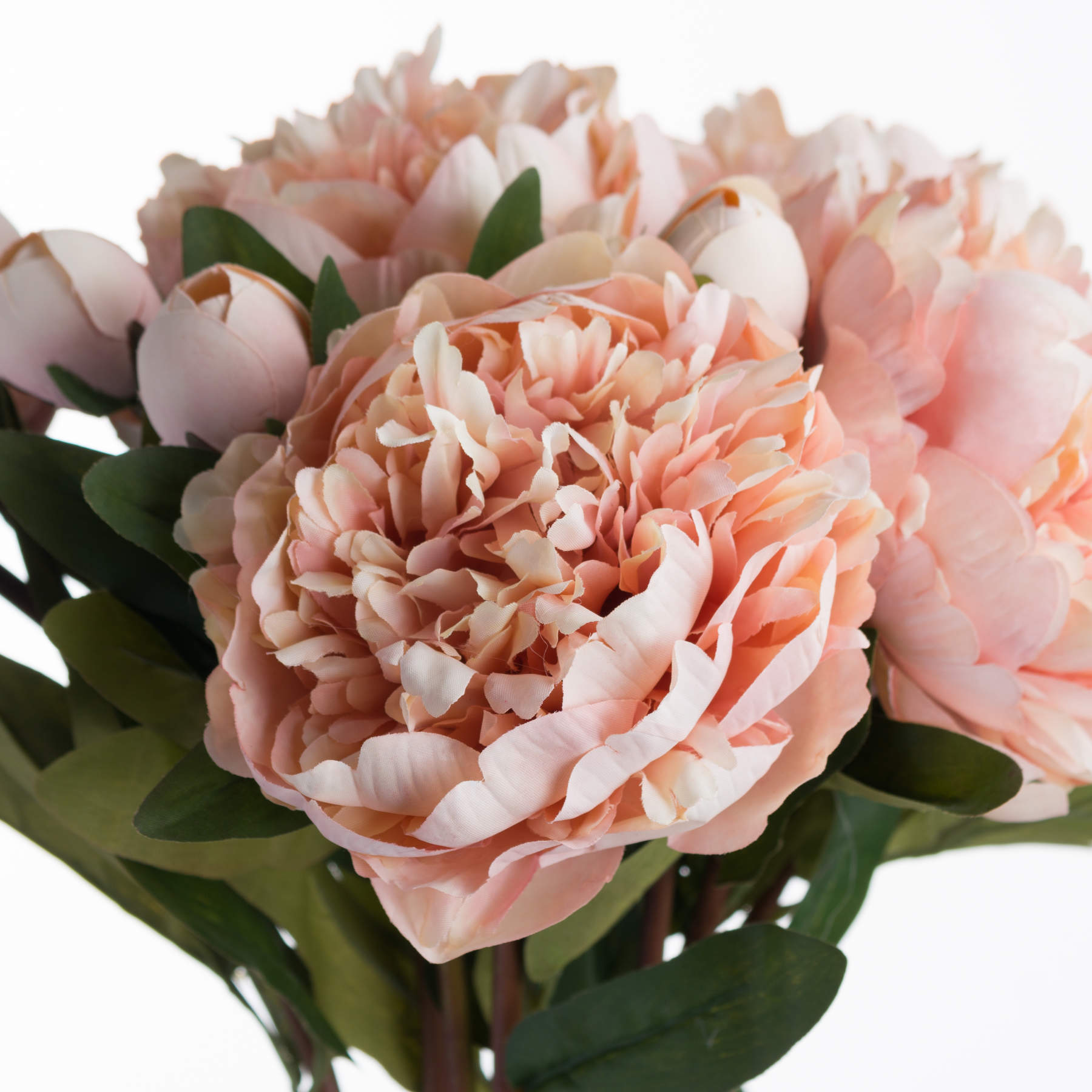 Bouquet of pink peonies with green leaves on a white background