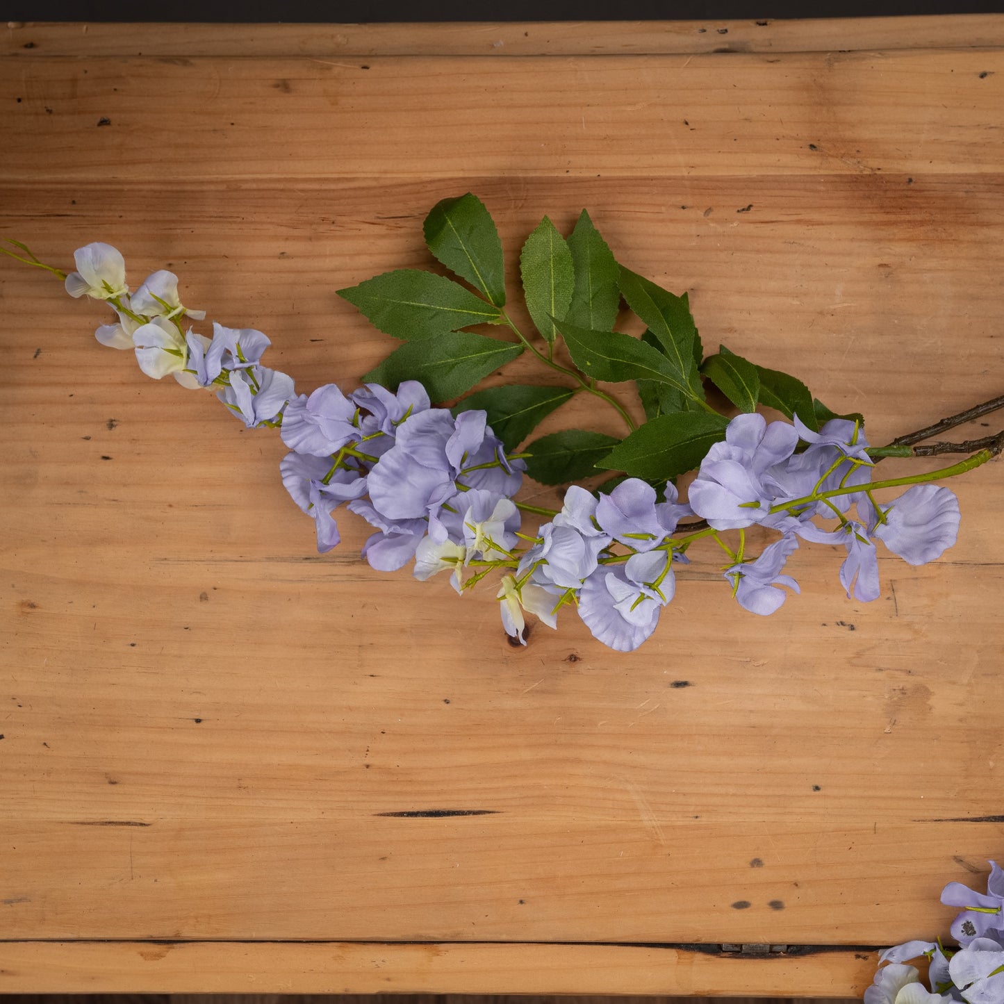 Purple flowers and green leaves on a wooden surface