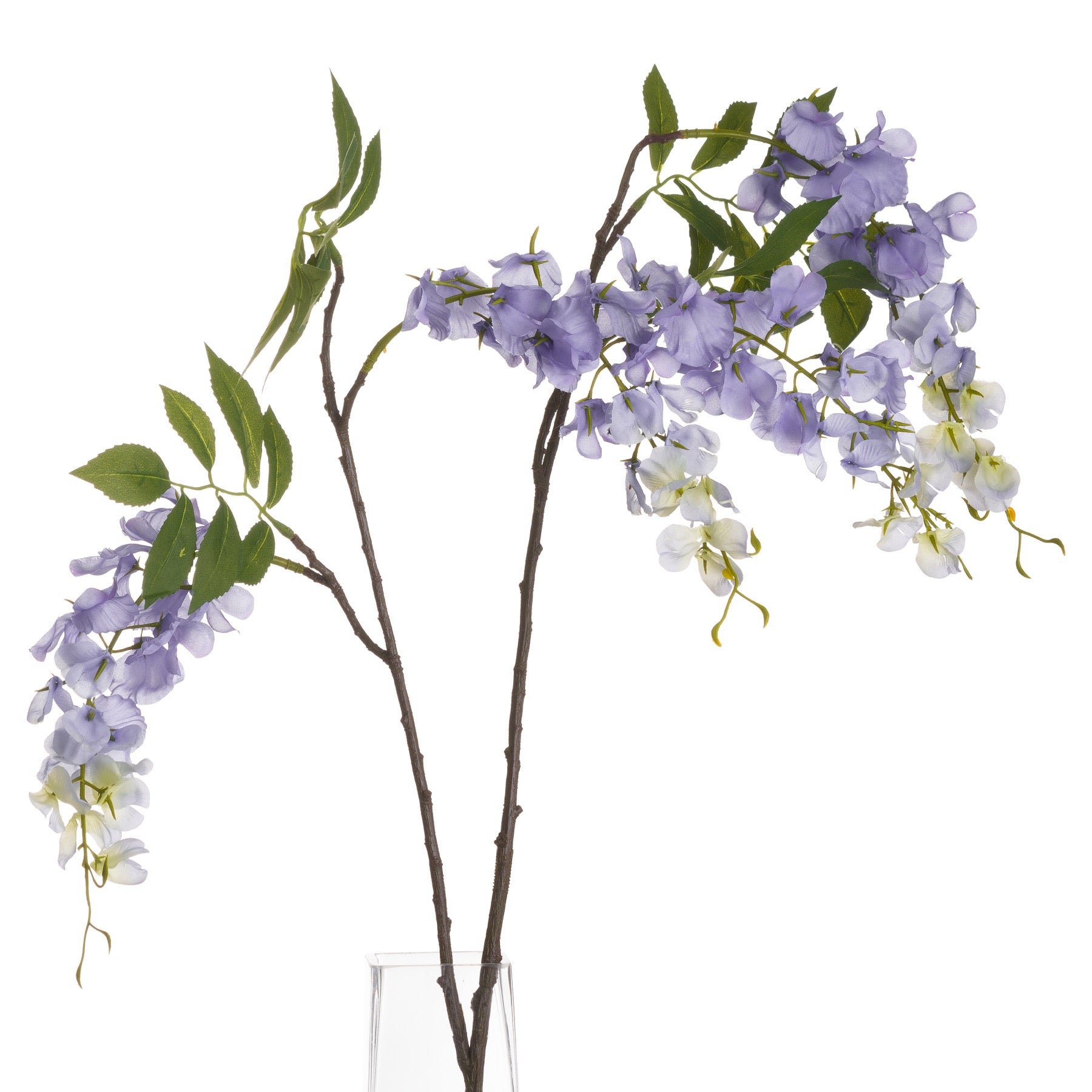 Artificial wisteria branches with purple and white flowers in a clear vase on a white background