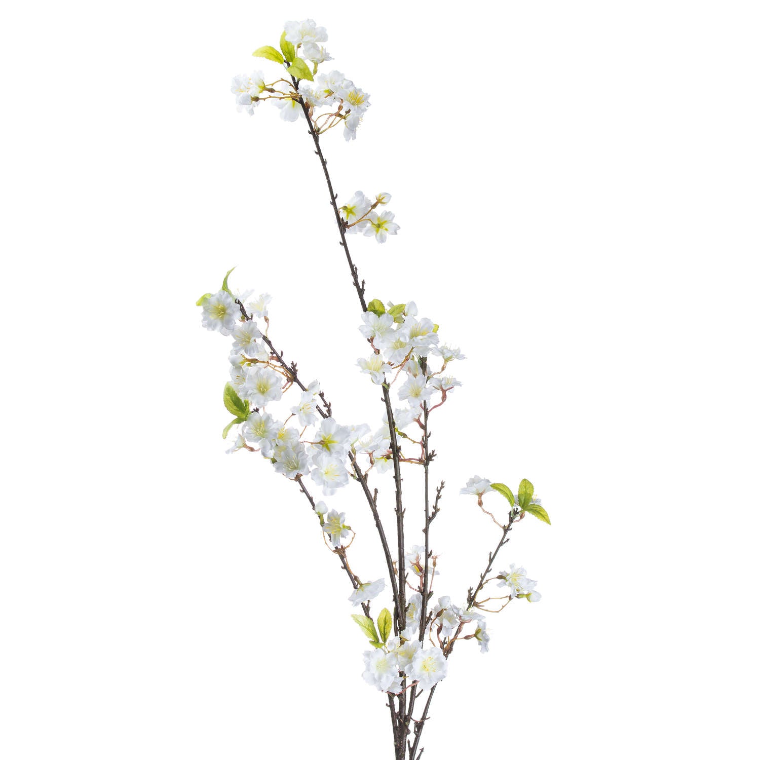 Artificial cherry blossom branch with white flowers on a white background