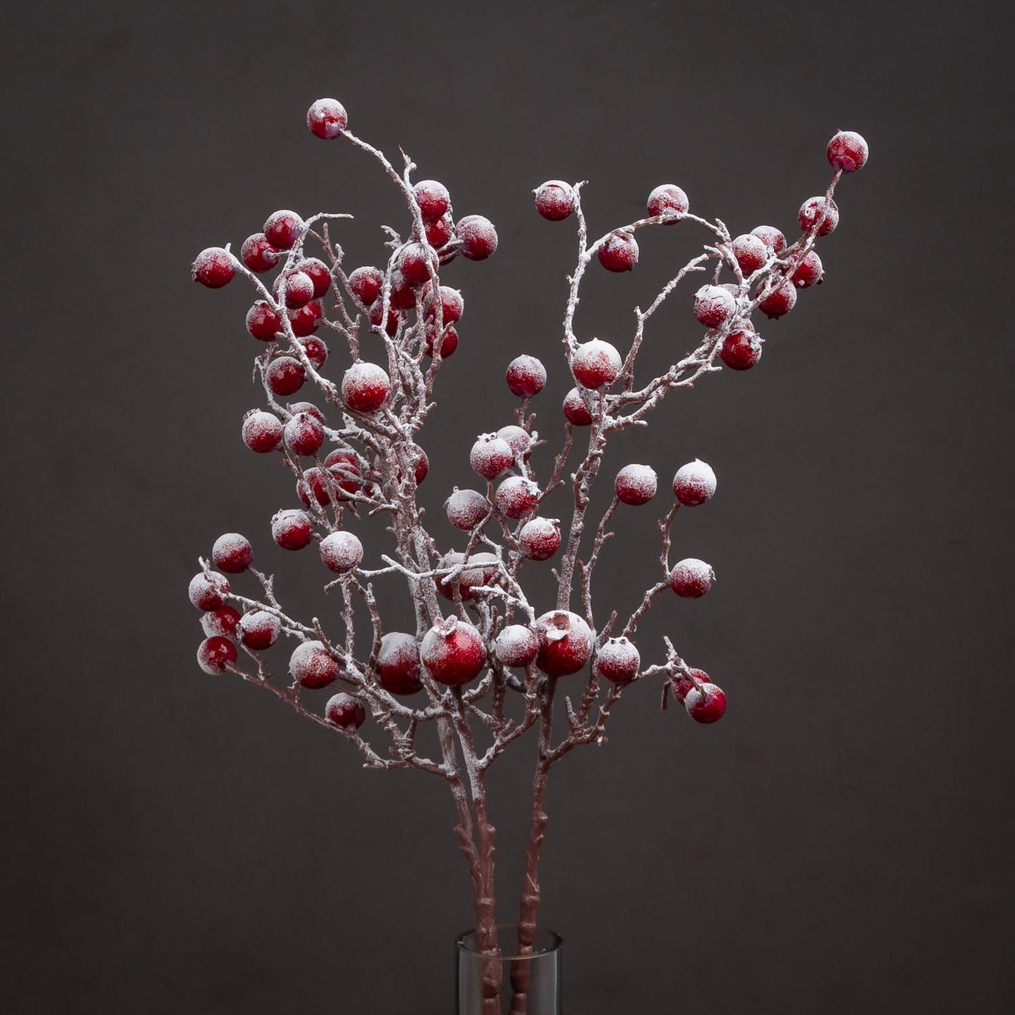 Decorative branch with red berries and snow-like texture in a clear vase against a dark background