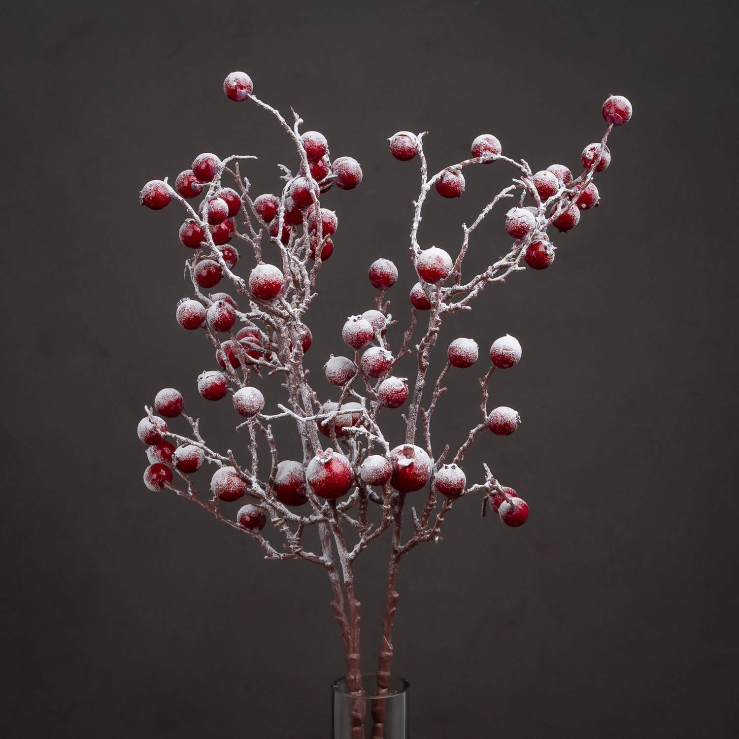 Decorative branch with red berries and snow-like texture in a clear vase against a dark background