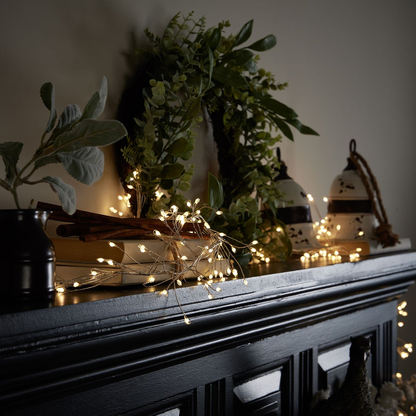 Decorative setup with string lights, books, and plants on a dark surface.