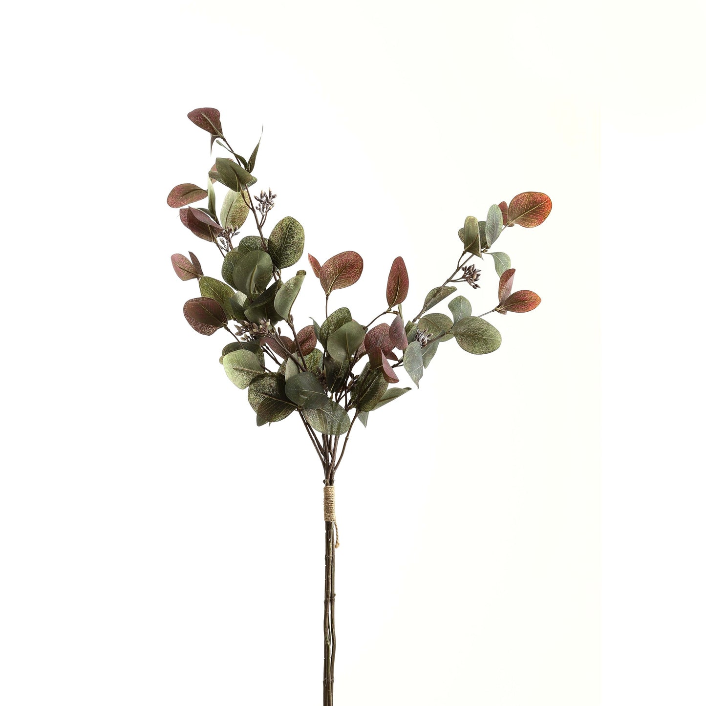 Artificial eucalyptus branch with green and brown leaves on a white background