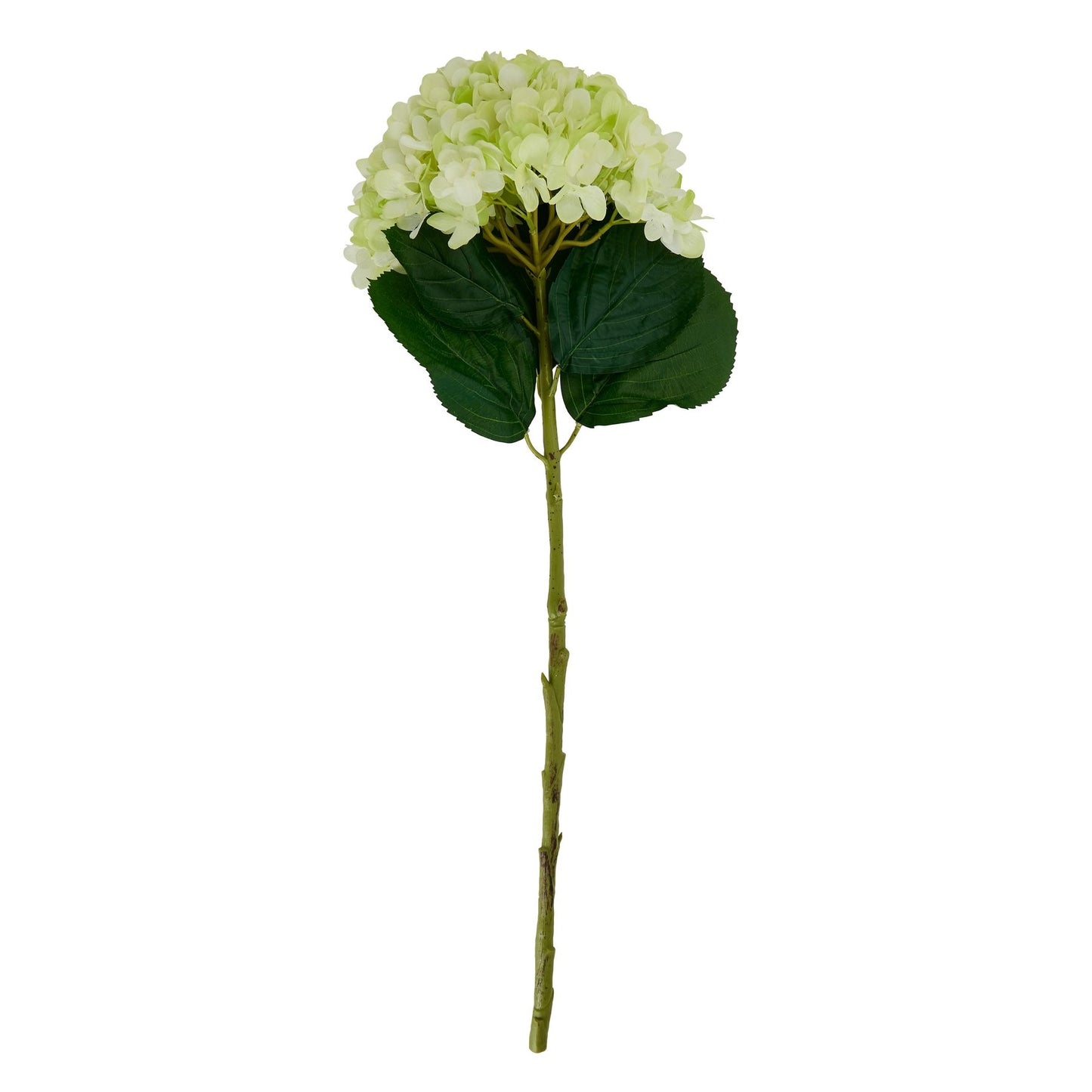 Artificial hydrangea flower stem with green leaves on a white background