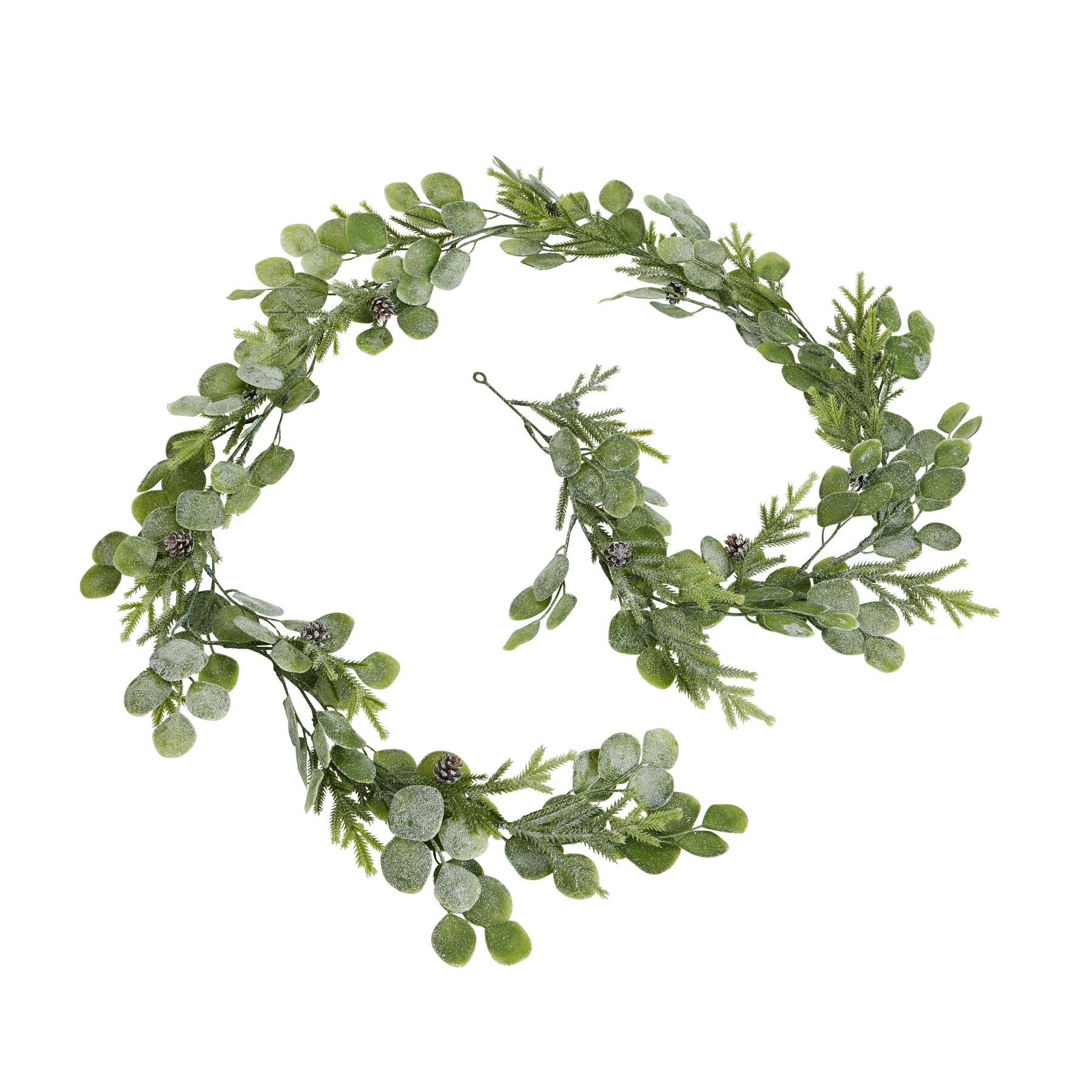 Green leafy wreath on a white background