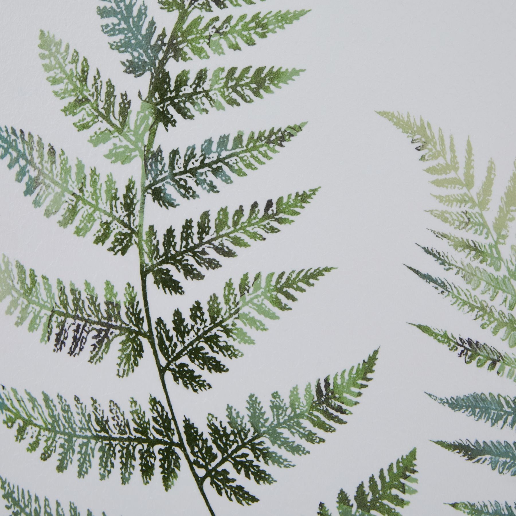 Fern leaf pattern on a light gray background