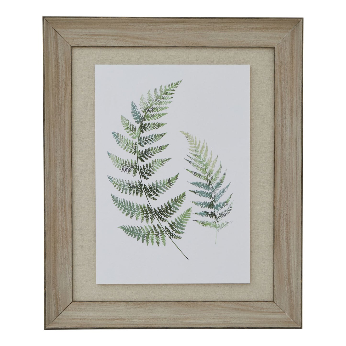 Framed artwork of fern leaves on a white background