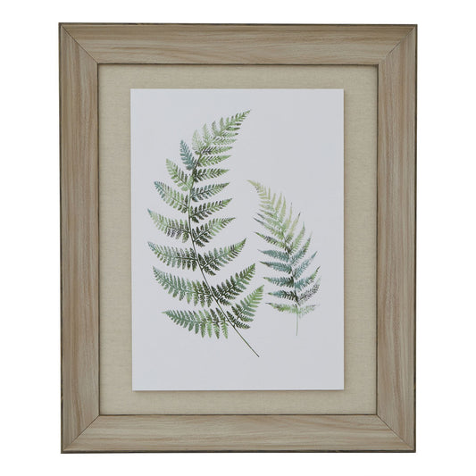Framed artwork of fern leaves on a white background