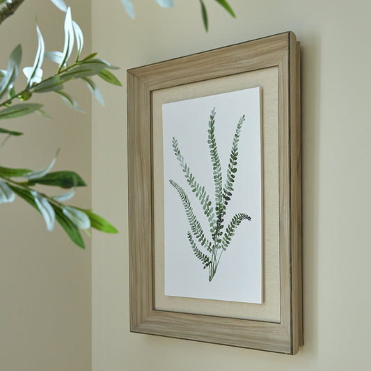 Framed botanical print of ferns on a wall with a plant in the foreground
