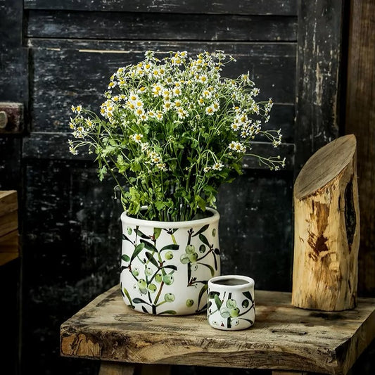 Potted plant with decorative pot on a wooden surface against a dark background